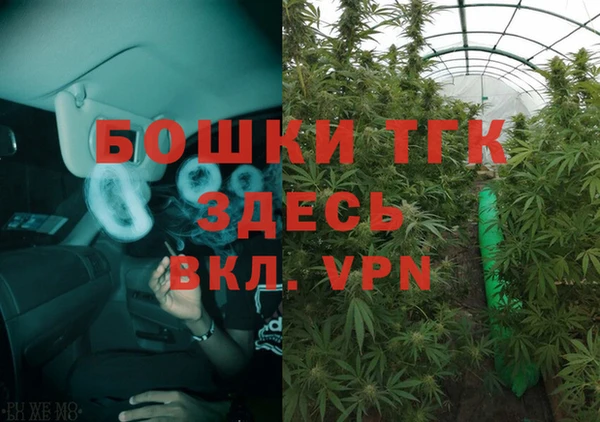 ГАЛЛЮЦИНОГЕННЫЕ ГРИБЫ Нязепетровск