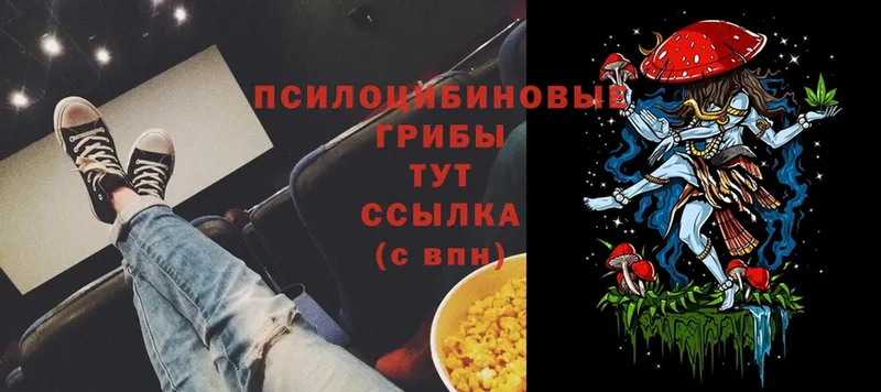 mega как зайти  что такое   Бежецк  Галлюциногенные грибы ЛСД 